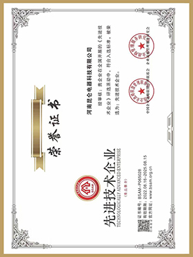 先進技術(shù)企業(yè)
